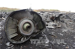 Tập đoàn tên lửa Nga: MH17 bị tên lửa Ukraine bắn hạ